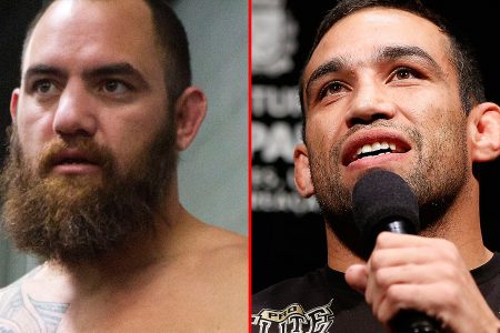 040414-UFC-TRAVIS-BROWNE-FABRICIO-WERDUM-DC-PI