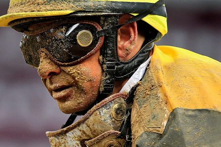 2014 Black Eyed Susan Stakes