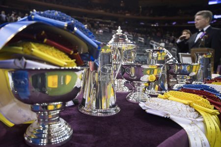 Westminster-Dog-Show-Trophies_1040x585