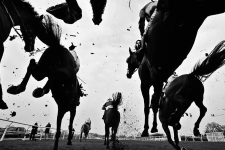 Horses_1040x585