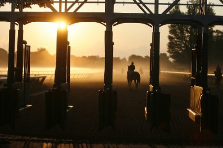 SARATOGA SPRINGS, NY -August 21, 2008: Silhouetted horses galloping in morning workout behind starting gate at Saratoga Race Course. August 21, 2008 (Photo by Horsephotos /Getty Images)