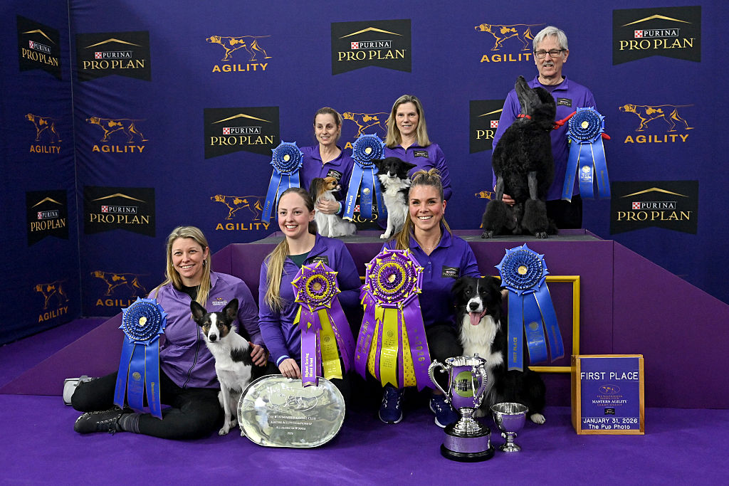 FOX Scores Most-Watched Westminster Masters Agility Championship Since 2019